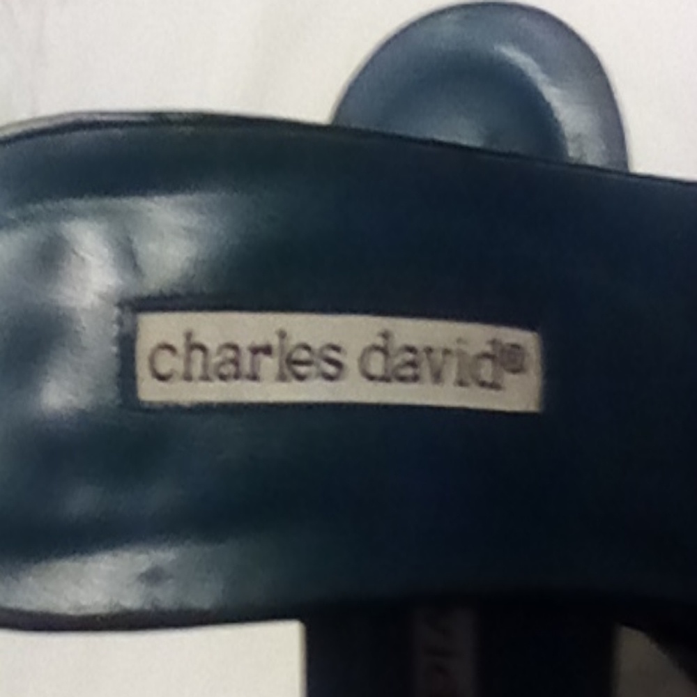 Charles David slides - Picture 3 of 5